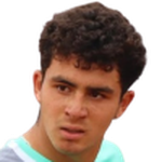 N. Villalon